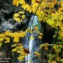 Soothing Colours of Autumn (Plitvice National Park 2016)