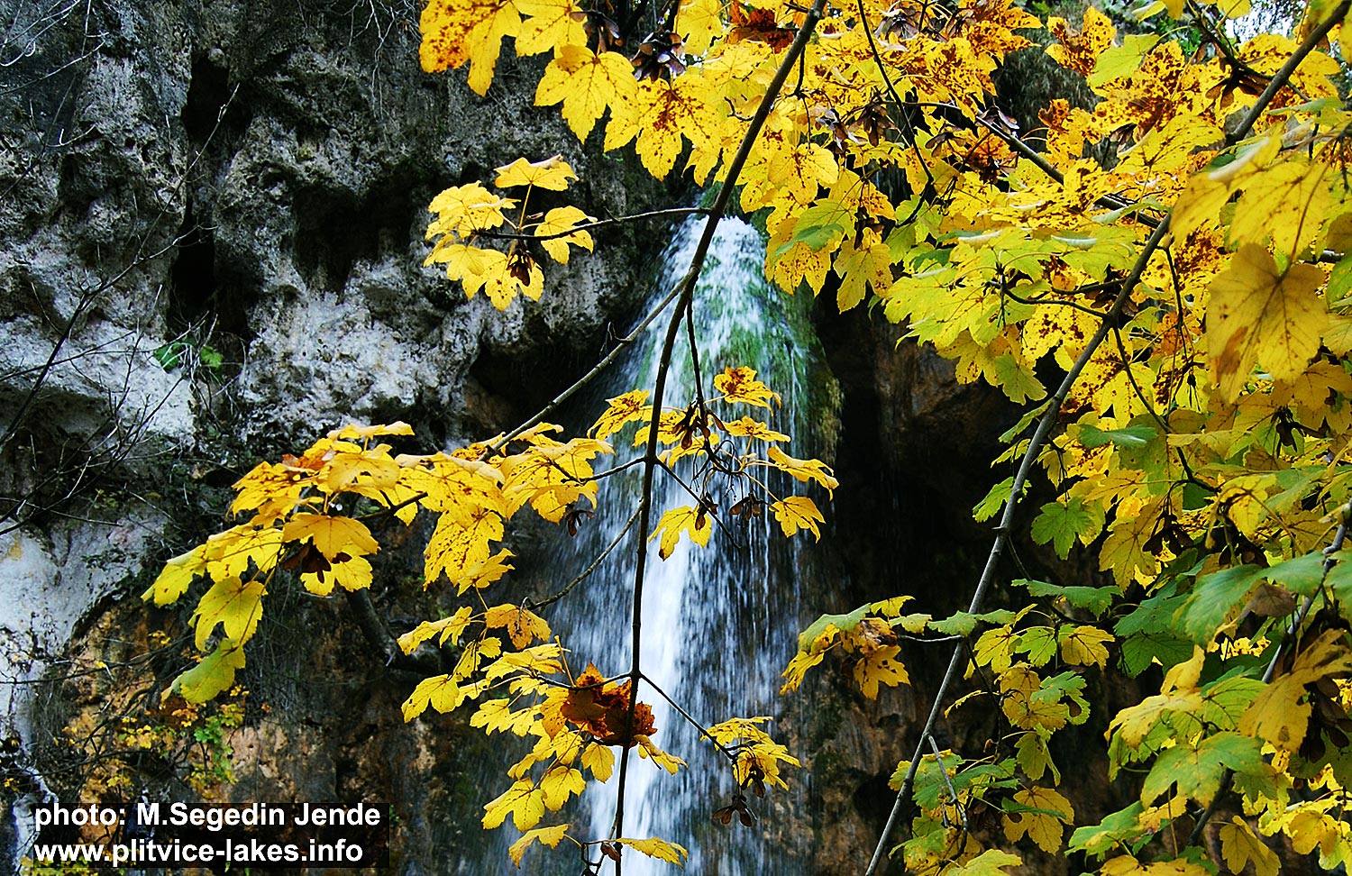 Soothing Colours of Autumn (Plitvice National Park 2016)