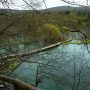 Small Burgeti Lakes (Ponds) @ Plitvicka Jezera
