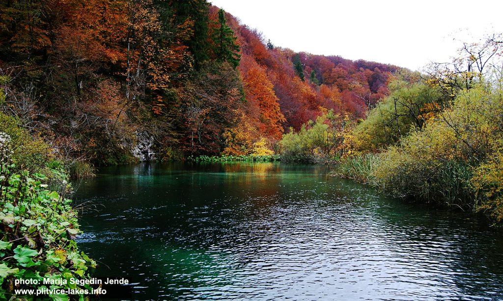 At Plitvice Upper Lakes in the Autumn