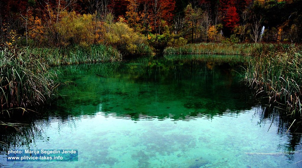 Lovely colours of Veliko Jezero Lake @ Plitvice National Park
