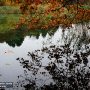 Reflections in water in Vir jezero (Lake) - Plitvice National Park